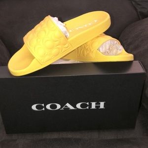 Coach slides